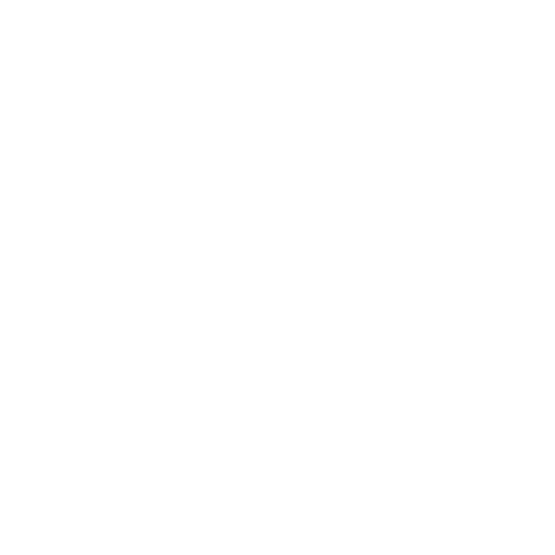 Faster icon